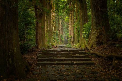 kumano kodo dünyaları en çirkin renk