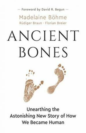 Ancient Bones: Nasıl İnsan Olduğumuza Dair Şaşırtıcı Yeni Hikayeyi Ortaya Çıkarmak