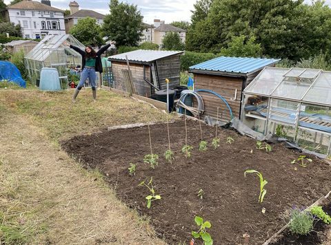 bin yıllık bahçıvan kiran Growal'ın tahsis planı