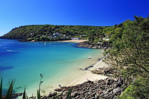 Salcombe Plajı Devon İngiltere