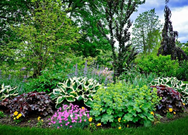Mayıs ayında Babylon, Long Island'da güzel bahar bahçesi bitkileri