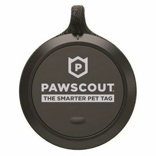 Pawscout Daha Akıllı Hayvan Etiketi