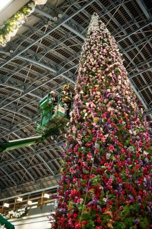 47ft çiçek Noel ağacı St Pancras Uluslararası İstasyonu, Londra açıldı.