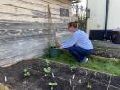 Yeni Floral Projesi İngilizlerin Yaşlı Komşular İçin Çiçek Büyüttüğünü Görüyor