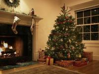 Gerçek vs. Sahte Noel Ağaçları: Evinize Hangisi Uygun?