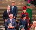 Prens Harry ve Prens William Camilla Queen Consort Title tarafından "Kör"