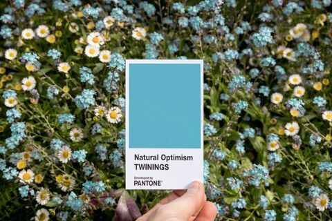 Twinings İnfüzyonları Pantone ile birlikte Doğal İyimserlik