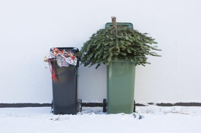Noel ağacınızı geri dönüştürün