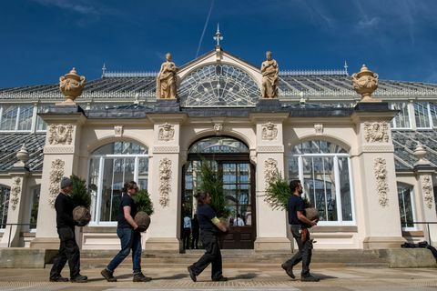 Yenilenen Kew Garden'ın Ilıman Evi Yeniden Açılıyor