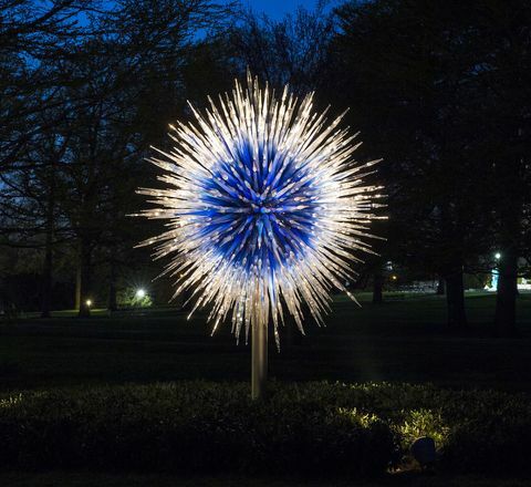 Dale Chihuly Sapphire Star fotoğraf