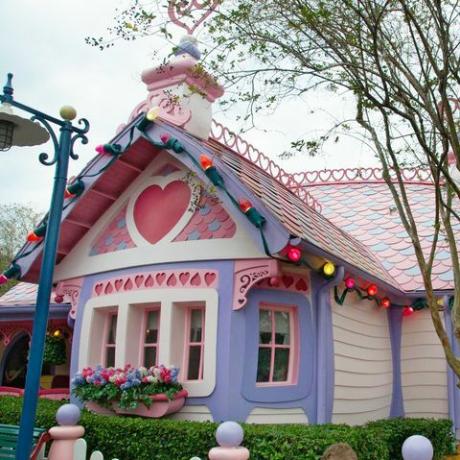 minnie mouse'un evi