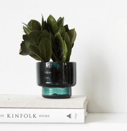 Bitki Pot, yaşam yaşayan olarak mavi yeşil cam Tealight tutucu