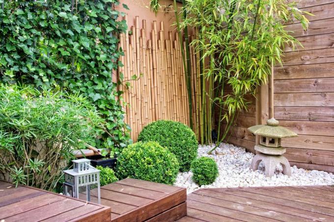 bambu ve taş fener ile Japon bahçesi