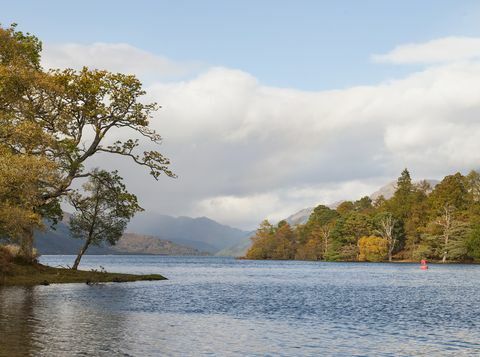 güney loch lomond'un batı kıyısında yer alan yaklaşık 103 dönümlük bir ada satılıktır